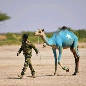 Meet your Posher, Zeinab